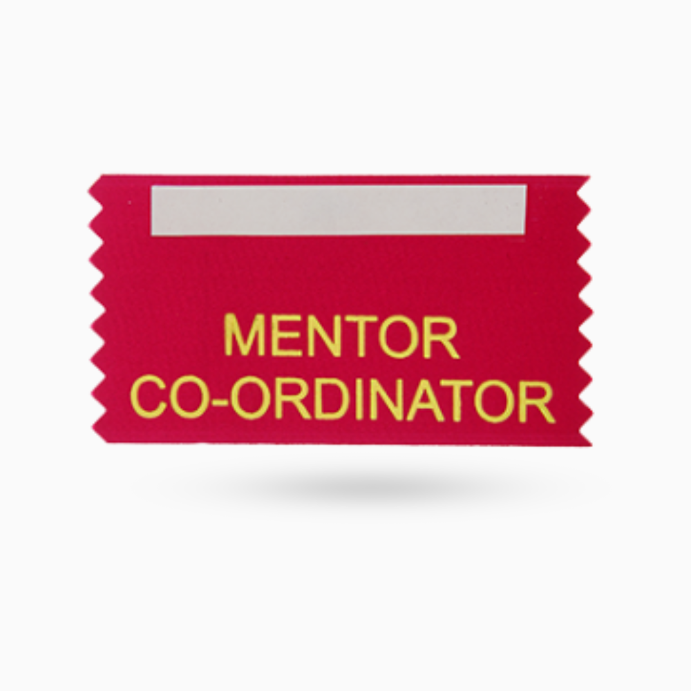 Mentor Co-Ordinator (Pack of 10)