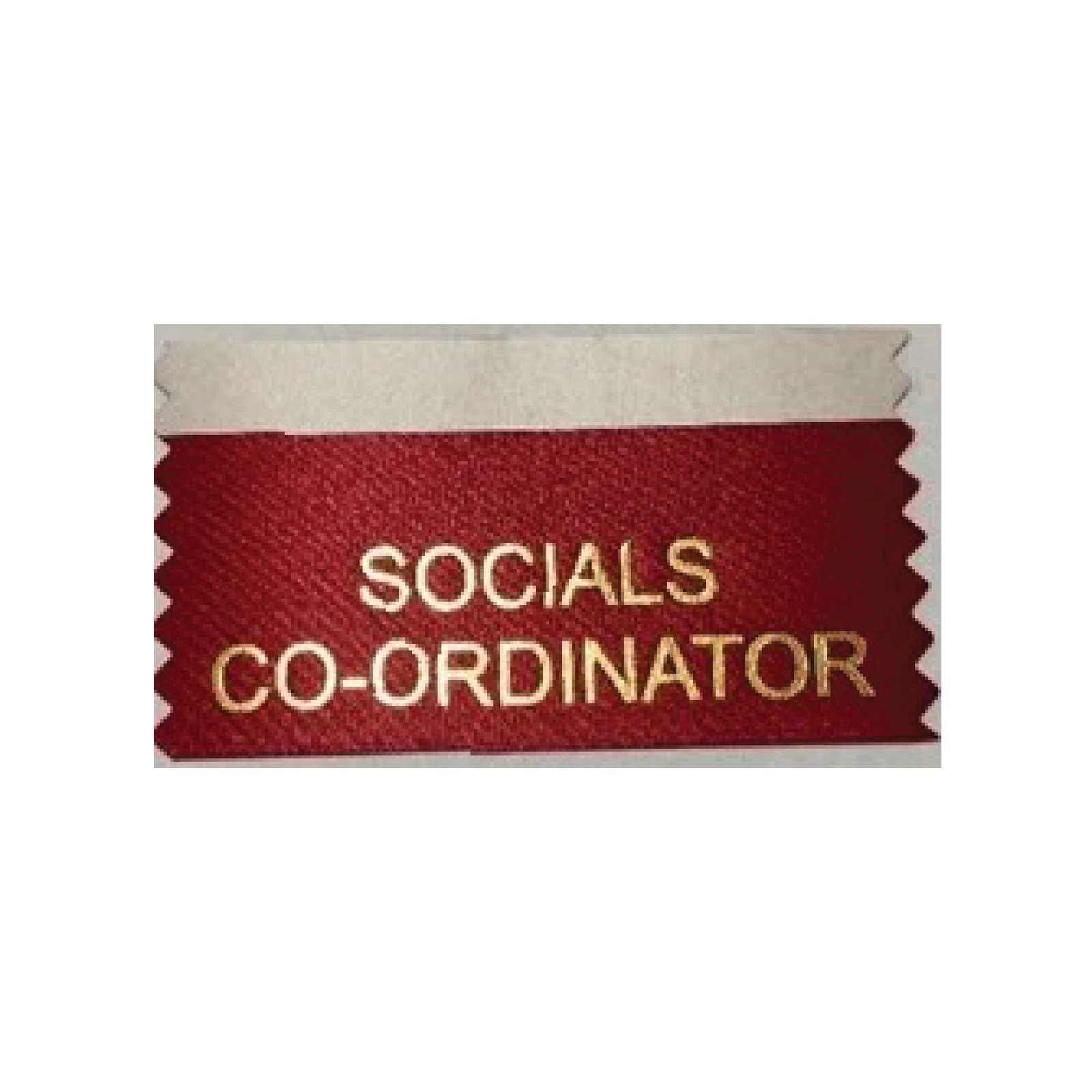 Social Co-Ordinator (Pack of 10)