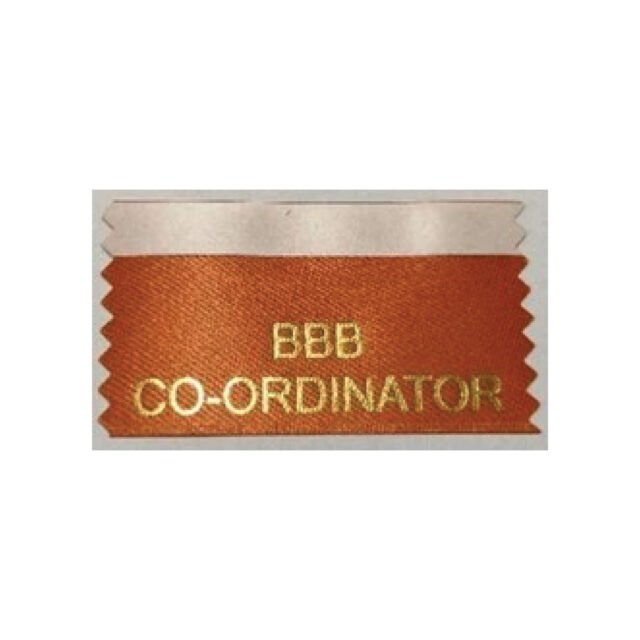 BBB Co-Ordinator (Pack of 10)