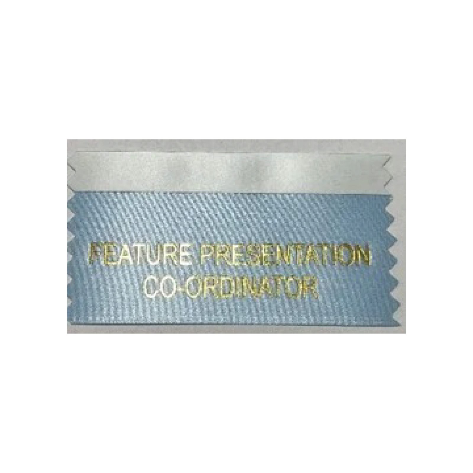 Feature Presentation Co-Ordinator (Pack of 10)