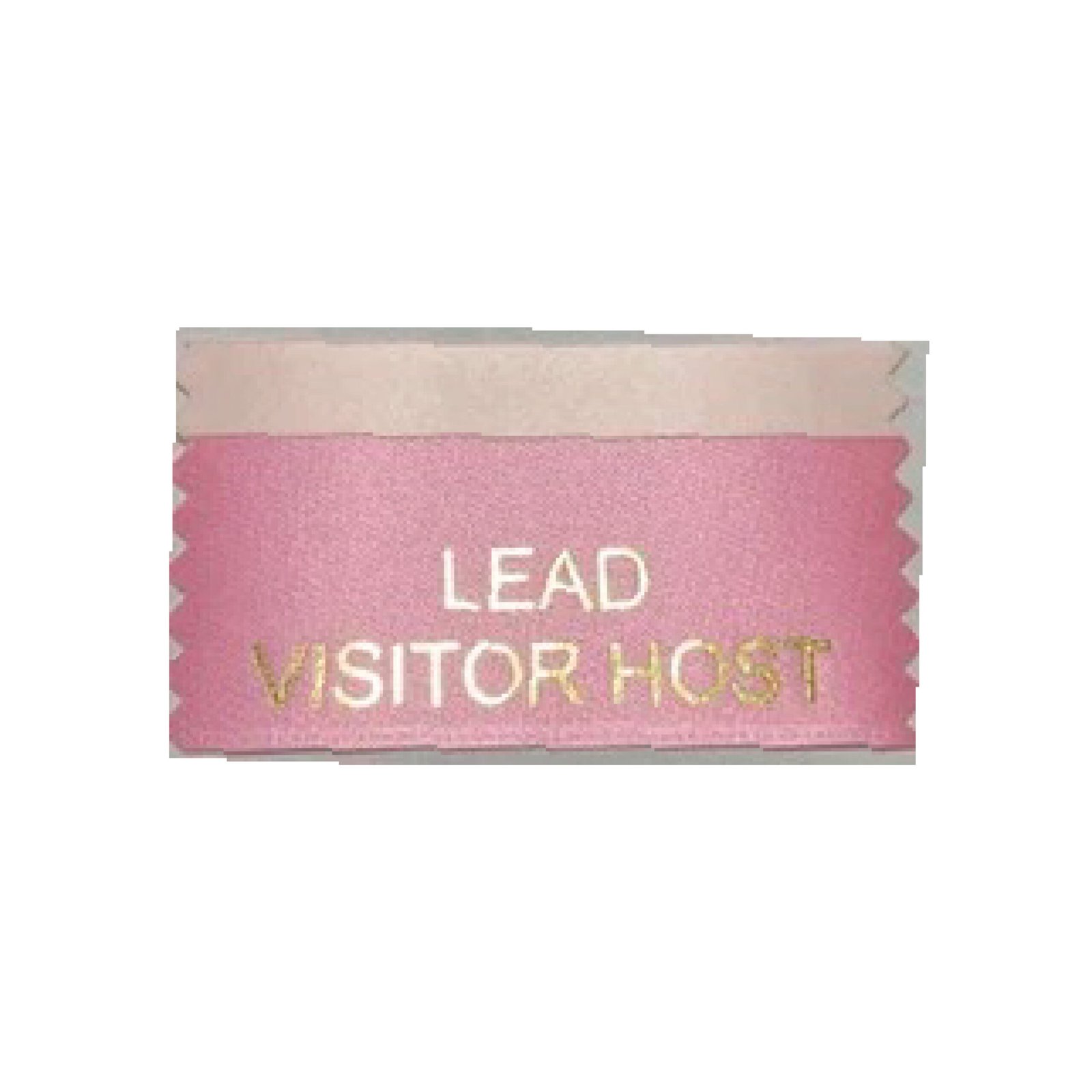 Lead Visitor Host (Pack of 10)